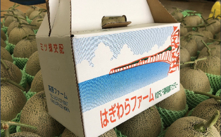 【 先行予約 】 メロン 3玉 ラブコール メロン