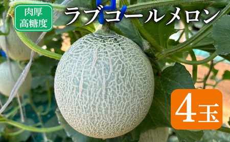 【 先行予約 】 メロン 4玉 ラブコール メロン