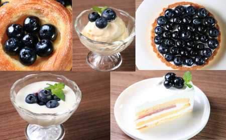 （ 先行予約 ） ブルーベリー 800g ブルーベリー