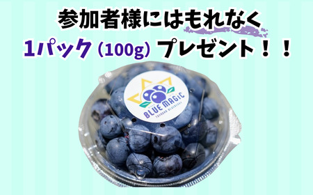 ブルーベリー狩り チケット 2名様