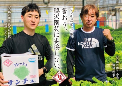 サンチュ 合計100枚