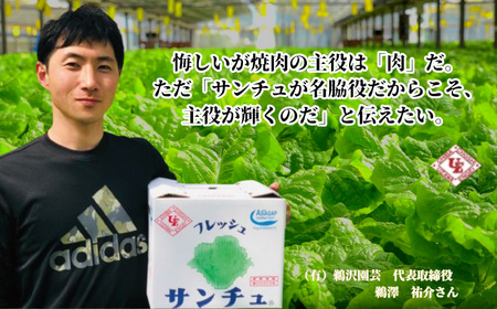 サンチュ 合計100枚