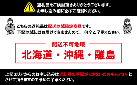 サンチュ 合計100枚