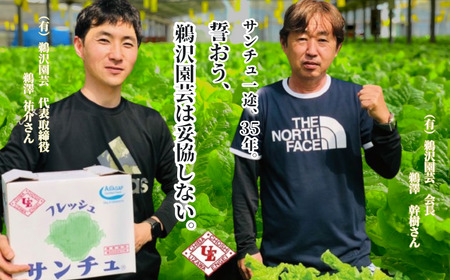  サンチュ  合計200枚