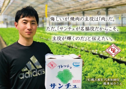  サンチュ  合計200枚