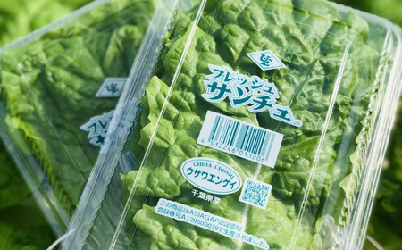  サンチュ  合計200枚