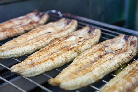 国産うなぎ 白焼き 2枚