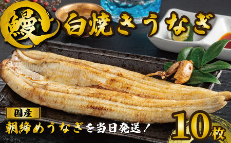 国産うなぎ 白焼き 10枚