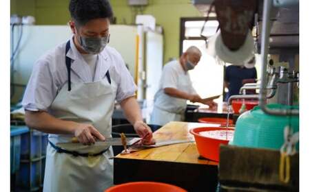 国産うなぎ 白焼き 10枚