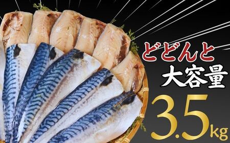 訳あり 塩鯖フィレ 3.5kg 訳あり鯖 塩鯖 鯖 鯖フィレ 冷凍鯖 塩鯖フィレ 鯖切身 大容量鯖 さば 塩さば 小分け 大容量 冷凍 贈答 お取り寄せ おかず つまみ ふるさと納税 送料無料 千葉県 銚子市 荒野商店