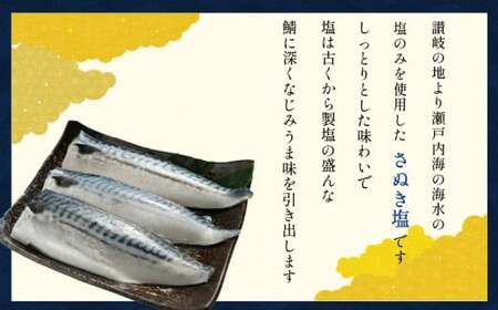 適塩さば 5kg さば