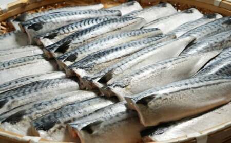 適塩さば 5kg さば