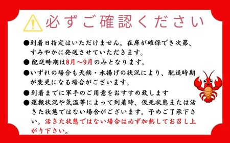 数量限定 活伊勢海老 約800g～1kg (1尾～3尾) 天然 銚子港水揚げ 伊勢海老 エビ 海老 刺身 ボイル エビフライ 人気 高級 新鮮 海鮮 贈答 プレゼント ギフト お取り寄せ グルメ 千葉県 銚子市 株式会社NEXT 発送期間：2024年8月上旬～9月(なくなり次第終了) 伊勢海老 海老 ｴﾋﾞ 伊勢海老 海老 ｴﾋﾞ 伊勢海老 海老 ｴﾋﾞ 伊勢海老 海老 ｴﾋﾞ 伊勢海老 海老 ｴﾋﾞ 伊勢海老 海老 ｴﾋﾞ 伊勢海老 海老 ｴﾋﾞ 伊勢海老 海老 ｴﾋﾞ 伊勢海老 海老 ｴﾋﾞ 伊勢海老 海老 ｴﾋﾞ 伊勢海老 海老 ｴﾋﾞ 伊勢海老 海老 ｴﾋﾞ 伊勢海老 海老 ｴﾋﾞ 伊勢海老 海老 ｴﾋﾞ 伊勢海老 海老 ｴﾋﾞ 伊勢海老 海老 ｴﾋﾞ 伊勢海老 海老 ｴﾋﾞ 伊勢海老 海老 ｴﾋﾞ 伊勢海老 海老 ｴﾋﾞ 伊勢海老 海老 ｴﾋﾞ 伊勢海老 海老 ｴﾋﾞ 伊勢海老 海老 ｴﾋﾞ 伊勢海老 海老 ｴﾋﾞ 伊勢海老 海老 ｴﾋﾞ 伊勢海老 海老 ｴﾋﾞ 伊勢海老 海老 ｴﾋﾞ 伊勢海老 海老 ｴﾋﾞ 伊勢海老 海老 ｴﾋﾞ 伊勢海老 海老 ｴﾋﾞ 伊勢海老 海老 ｴﾋﾞ 伊勢海老 海老 ｴﾋﾞ 伊勢海老 海老 ｴﾋﾞ 伊勢海老 海老 ｴﾋﾞ 伊勢海老 海老 ｴﾋﾞ 伊勢海老 海老 ｴﾋﾞ 伊勢海老 海老 ｴﾋﾞ 伊勢海老 海老 ｴﾋﾞ 伊勢海老 海老 ｴﾋﾞ 伊勢海老 海老 ｴﾋﾞ 伊勢海老 海老 ｴﾋﾞ 伊勢海老 海老 ｴﾋﾞ 伊勢海老 海老 ｴﾋﾞ 伊勢海老 海老 ｴﾋﾞ 伊勢海老 海老 ｴﾋﾞ 伊勢海老 海老 ｴﾋﾞ 伊勢海老 海老 ｴﾋﾞ 伊勢海老 海老 ｴﾋﾞ 伊勢海老 海老 ｴﾋﾞ 伊勢海老 海老 ｴﾋﾞ 伊勢海老 海老 ｴﾋﾞ 伊勢海老 海老 ｴﾋﾞ 伊勢海老 海老 ｴﾋﾞ 伊勢海老 海老 ｴﾋﾞ 伊勢海老 海老 ｴﾋﾞ 伊勢海老 海老 ｴﾋﾞ 伊勢海老 海老 ｴﾋﾞ 伊勢海老 海老 ｴﾋﾞ 伊勢海老 海老 ｴﾋﾞ 伊勢海老 海老 ｴﾋﾞ 伊勢海老 海老 ｴﾋﾞ 伊勢海老 海老 ｴﾋﾞ 伊勢海老 海老 ｴﾋﾞ 伊勢海老 海老 ｴﾋﾞ 伊勢海老 海老 ｴﾋﾞ 伊勢海老 海老 ｴﾋﾞ 伊勢海老 海老 ｴﾋﾞ 伊勢海老 海老 ｴﾋﾞ 伊勢海老 海老 ｴﾋﾞ