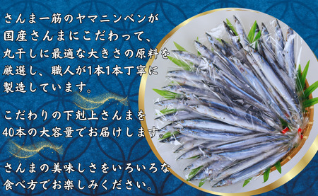 さんま 丸干 40尾 下剋上さんま 冷凍 サンマ 秋刀魚 正規品 無添加 大容量 国産さんま 丸干し 旬 季節の味覚 銚子 海の幸 海鮮 干物 新鮮 贈り物 グルメ おかず おつまみ ビール 日本酒 お取り寄せ 千葉県 銚子市 ヤマニンベン