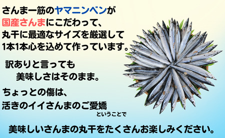 訳あり さんま 40尾 訳あって 訳ありさんま さんま丸干し さんま干物 冷凍さんま 国産さんま 大容量さんま 無添加さんま つまみさんま 魚 海鮮 干物 無添加 国産 北海道産 ふるさと納税 千葉県 銚子市 ヤマニンベン