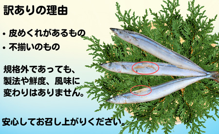 訳あり さんま 40尾 訳あって 訳ありさんま さんま丸干し さんま干物 冷凍さんま 国産さんま 大容量さんま 無添加さんま つまみさんま 魚 海鮮 干物 無添加 国産 北海道産 ふるさと納税 千葉県 銚子市 ヤマニンベン