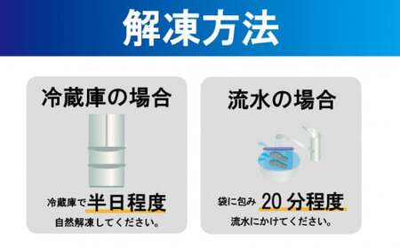 訳あり 厚切り 塩銀鮭 切り身 約2kg 1切 120g 定塩 冷凍 人気 切身 厚切り鮭 肉 厚 さけ しゃけ 鮭 サーモン 塩鮭 銀鮭 魚 海鮮 魚介類 魚貝 おかず おつまみ 弁当 惣菜 大容量 不揃い 規格外 食品 冷凍食品 グルメ 贈答 贈り物 プレゼント ギフト 長期保存 小分け お取り寄せ 10000円 ふるさと納税 送料無料 千葉県 銚子市 辻野