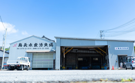 ボイル 真ダコ 4パック (140g×4)