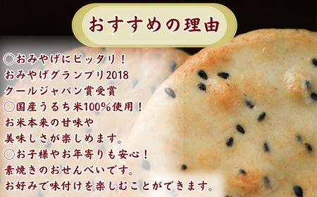 ごま かんたん 手焼きせんべい の 素 10枚 5袋入 詰め合わせ セット
