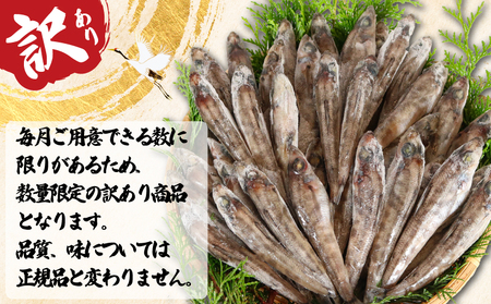 訳あり メヒカリ 約2kg (1kg×2袋） 鶴の恩返しシリーズ 【 目光 】 法印つる岡