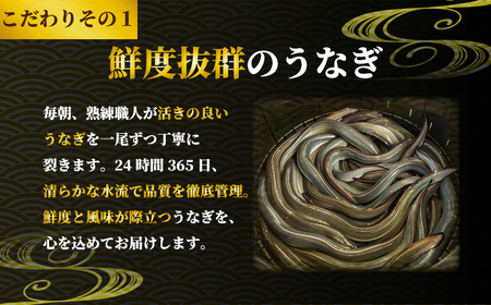 国産うなぎ 白焼き 2枚 約120g×2 定期便3回 うなぎ うなぎ うなぎ うなぎ うなぎ 石毛川魚店