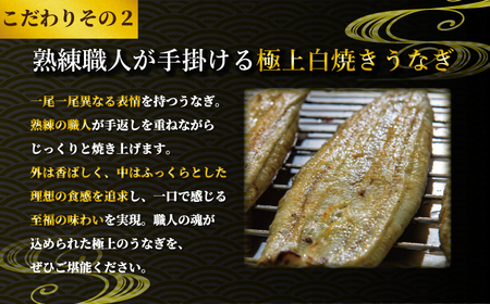 国産うなぎ 白焼き 2枚 約120g×2 定期便3回 うなぎ うなぎ うなぎ うなぎ うなぎ 石毛川魚店