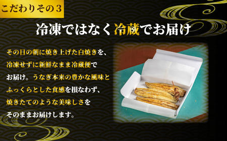 国産うなぎ 白焼き 2枚 約120g×2 定期便3回 うなぎ うなぎ うなぎ うなぎ うなぎ 石毛川魚店