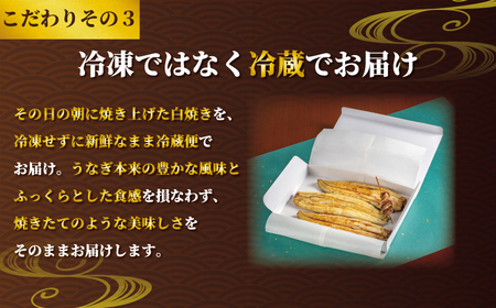国産うなぎ 白焼き 3枚 約120g×3 定期便3回 うなぎ うなぎ うなぎ うなぎ うなぎ 石毛川魚店