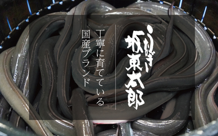 国産きざみ鰻 ひつまぶし 5パック 合計約250g (約50g×5) うなぎ