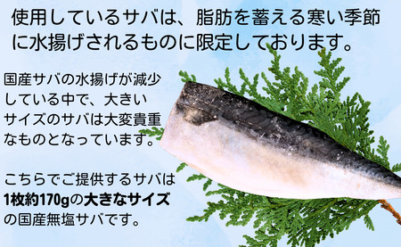 訳あり 国産 無塩さば フィーレ 4kg 冷凍鯖 厚切り鯖 焼き鯖 塩鯖 特大鯖 大容量鯖 肉厚鯖 美味しい鯖 魚 旬 フィレ 切り身 海鮮 魚介 グルメ ギフト 不揃い 規格外 小分け ふるさと納税 送料無料 千葉県 銚子市 大國屋