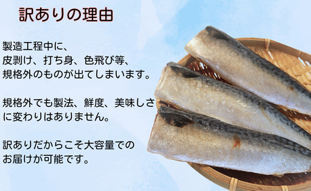 訳あり 国産 無塩さば フィーレ 4kg 冷凍鯖 厚切り鯖 焼き鯖 塩鯖 特大鯖 大容量鯖 肉厚鯖 美味しい鯖 魚 旬 フィレ 切り身 海鮮 魚介 グルメ ギフト 不揃い 規格外 小分け ふるさと納税 送料無料 千葉県 銚子市 大國屋