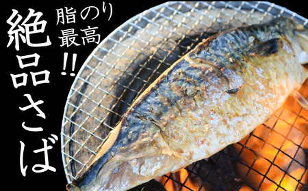 大寒の極み サバ干物 10枚 サバ
