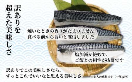 訳あり 塩さば フィーレ 約3kg 冷凍 おかず 惣菜 ｻﾊﾞ 鯖 海鮮 魚 大容量 鯖切身 鯖切り身 さば切身 さば切り身 切り身 切身 魚介 おつまみ 弁当 人気 不揃い 規格外 傷 冷凍食品 グルメ 贈答 贈物 ギフト 長期保存 小分け お取り寄せ BBQ 送料無料 ふるさと納税 千葉県 銚子市 銚子東洋