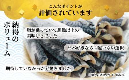 訳あり 塩さば フィーレ 約3kg 冷凍 おかず 惣菜 ｻﾊﾞ 鯖 海鮮 魚 大容量 鯖切身 鯖切り身 さば切身 さば切り身 切り身 切身 魚介 おつまみ 弁当 人気 不揃い 規格外 傷 冷凍食品 グルメ 贈答 贈物 ギフト 長期保存 小分け お取り寄せ BBQ 送料無料 ふるさと納税 千葉県 銚子市 銚子東洋