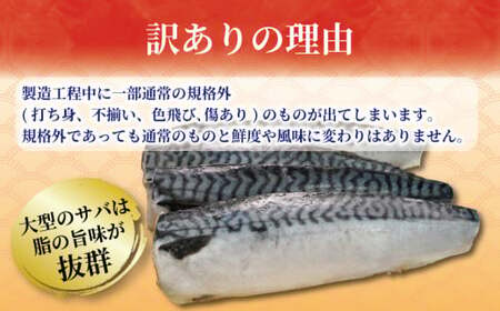 訳あり 塩さば フィーレ 約3kg 冷凍 おかず 惣菜 ｻﾊﾞ 鯖 海鮮 魚 大容量 鯖切身 鯖切り身 さば切身 さば切り身 切り身 切身 魚介 おつまみ 弁当 人気 不揃い 規格外 傷 冷凍食品 グルメ 贈答 贈物 ギフト 長期保存 小分け お取り寄せ BBQ 送料無料 ふるさと納税 千葉県 銚子市 銚子東洋