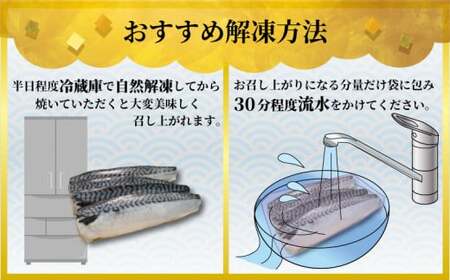 訳あり 塩さば フィーレ 約3kg 冷凍 おかず 惣菜 ｻﾊﾞ 鯖 海鮮 魚 大容量 鯖切身 鯖切り身 さば切身 さば切り身 切り身 切身 魚介 おつまみ 弁当 人気 不揃い 規格外 傷 冷凍食品 グルメ 贈答 贈物 ギフト 長期保存 小分け お取り寄せ BBQ 送料無料 ふるさと納税 千葉県 銚子市 銚子東洋