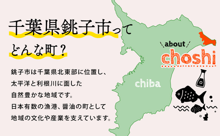 冷凍 いわし フィーレ３パック イワシ 鰯