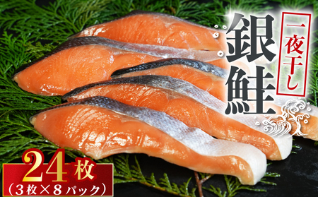 銀鮭 一夜干し 24枚 鮭