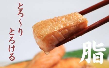 訳あり トロ サーモン(鮭)  ハラス 約3kg さけ 鮭 さけ 鮭 さけ 鮭 荒野商店