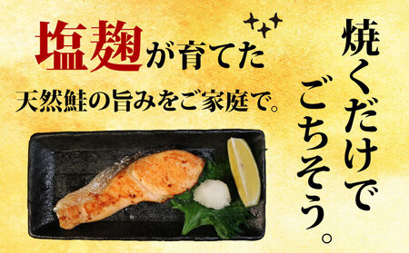 訳あり 銀鮭 塩麹漬け 1.7㎏ 鮭