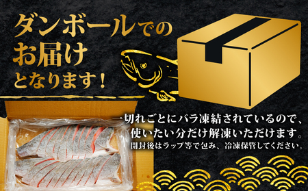 訳あり 紅鮭切身 約1.5kg サケ しゃけ 魚 鮭