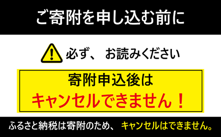 ヤマサ丸大豆しょうゆ 6本(1本600ml) 醤油