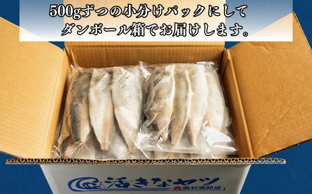 訳あり 塩アジフィーレ 約3kg