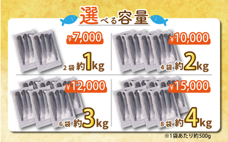 訳あり 塩鯖 1kg 鯖