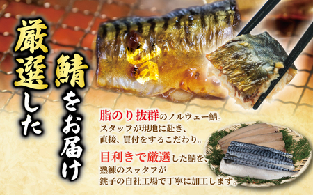 訳あり 塩さば 3kg 鯖