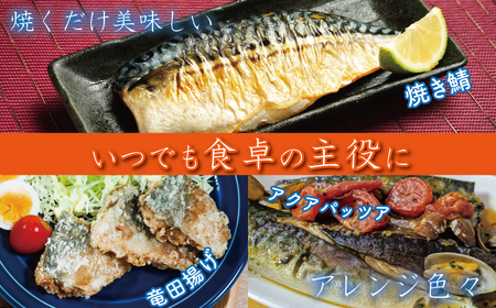 塩鯖 3.5kg 鯖