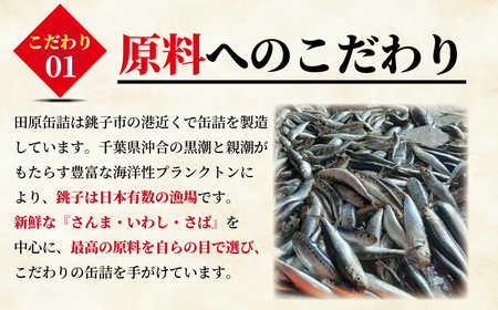 いわし蒲焼 60缶 イワシ 鰯