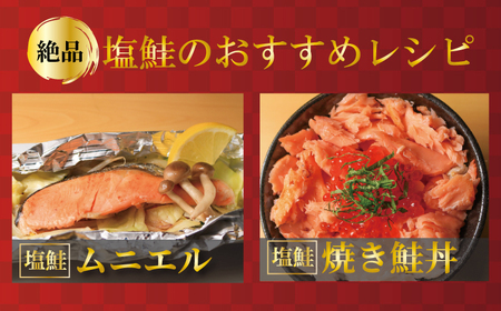 訳あり 銀鮭切身 約1kg サケ しゃけ 魚 鮭