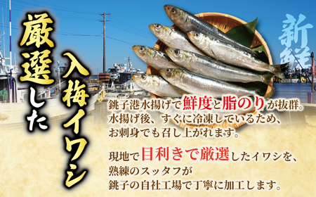 丸ごといわし 約3kg 冷凍 鰯 イワシ