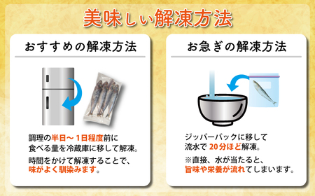 丸ごといわし 約3kg 冷凍 鰯 イワシ